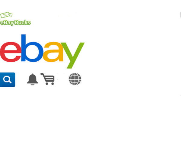 Amazon and Ebay Resale Business with a Proven Sales track record-Will Sale Both or Individually